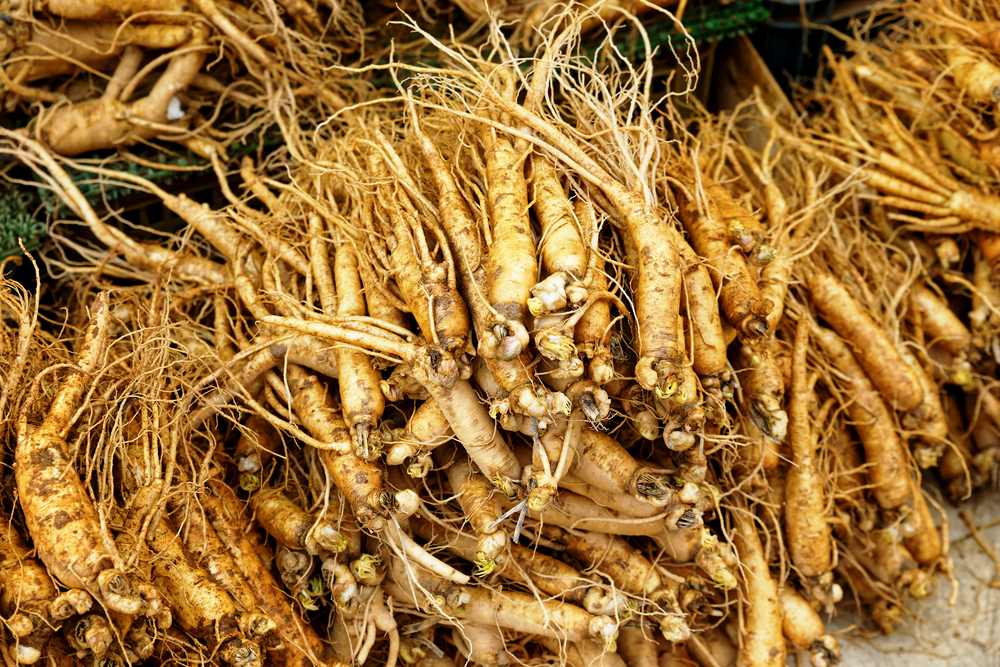 Raices de Ginseng. Propiedades medicinales