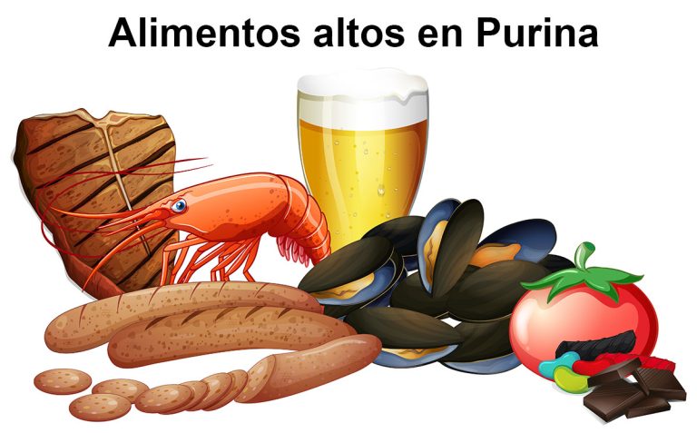 Alimentos altos en Purina